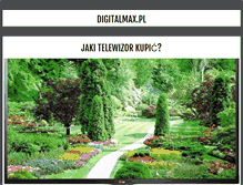 Tablet Screenshot of digitalmax.pl
